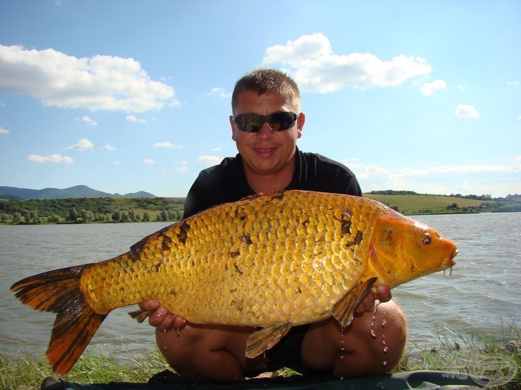 Aranysárga SBS rekordkoi a pontyfogó OB-ről