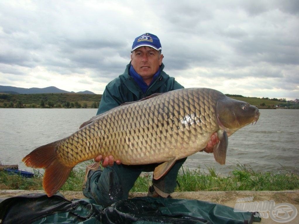 Pikkelyes, Haldorádó Team-módra