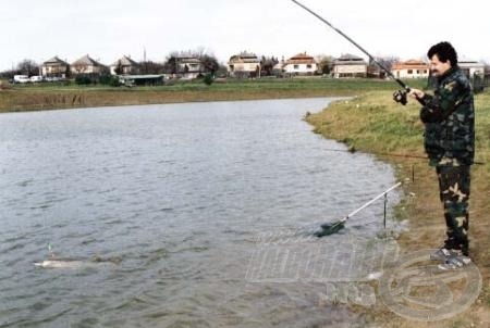 Lenyűgöző látvány volt a méteres csuka, mikor először felbukkant a víz felszínén.