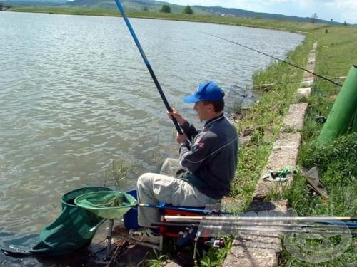 Előfordult, hogy a termetesebb példányok hosszú perceken át küzdöttek, jó volt őket fárasztani