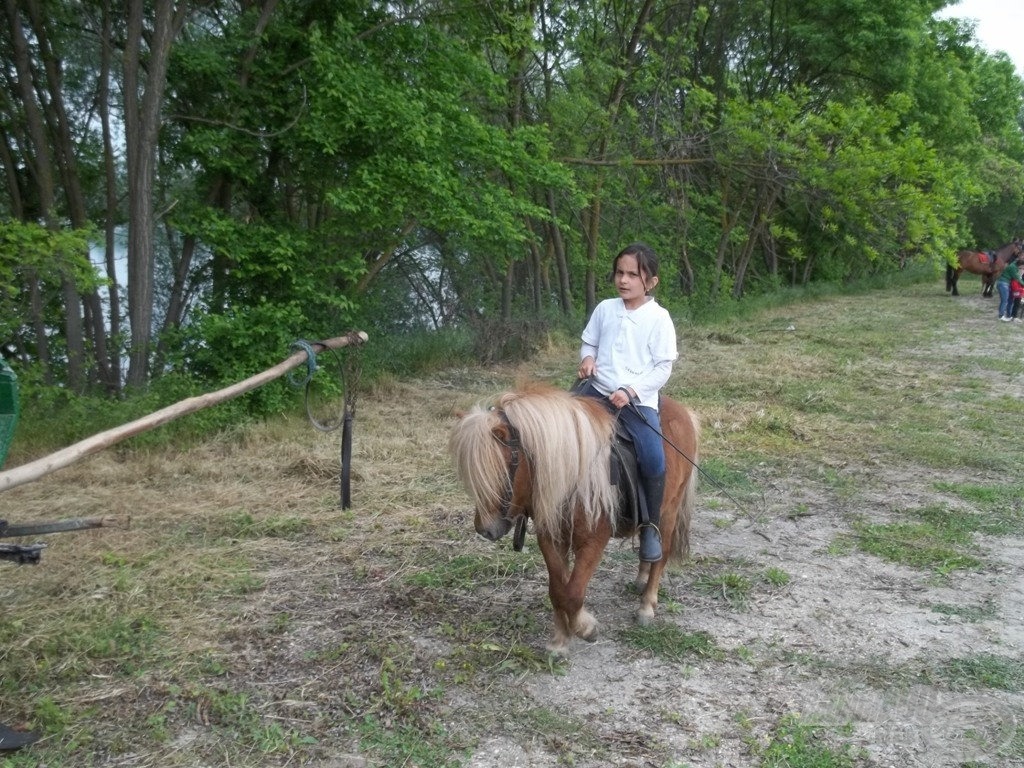Kis lány, kis ló