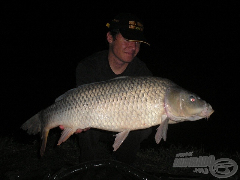 Erre mondanák a nyugatiak, hogy „Ghost Carp”