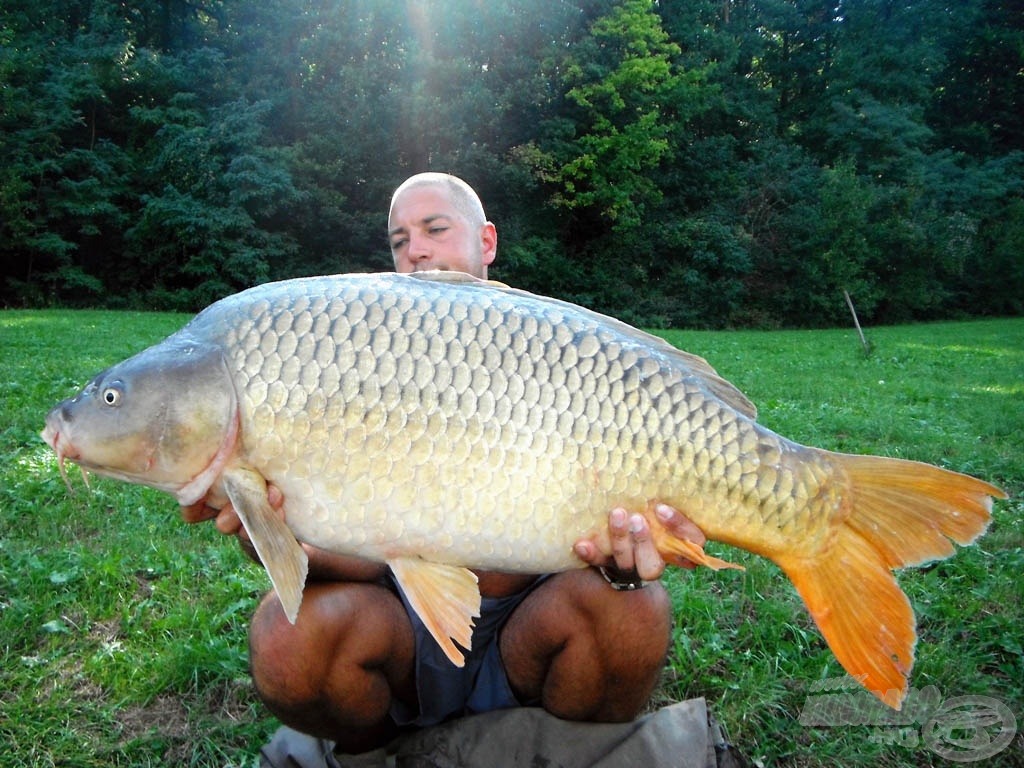 17,60 kg