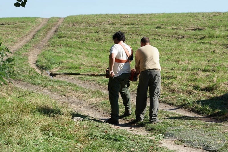 Szerintük a sövényvágót be kell tolni