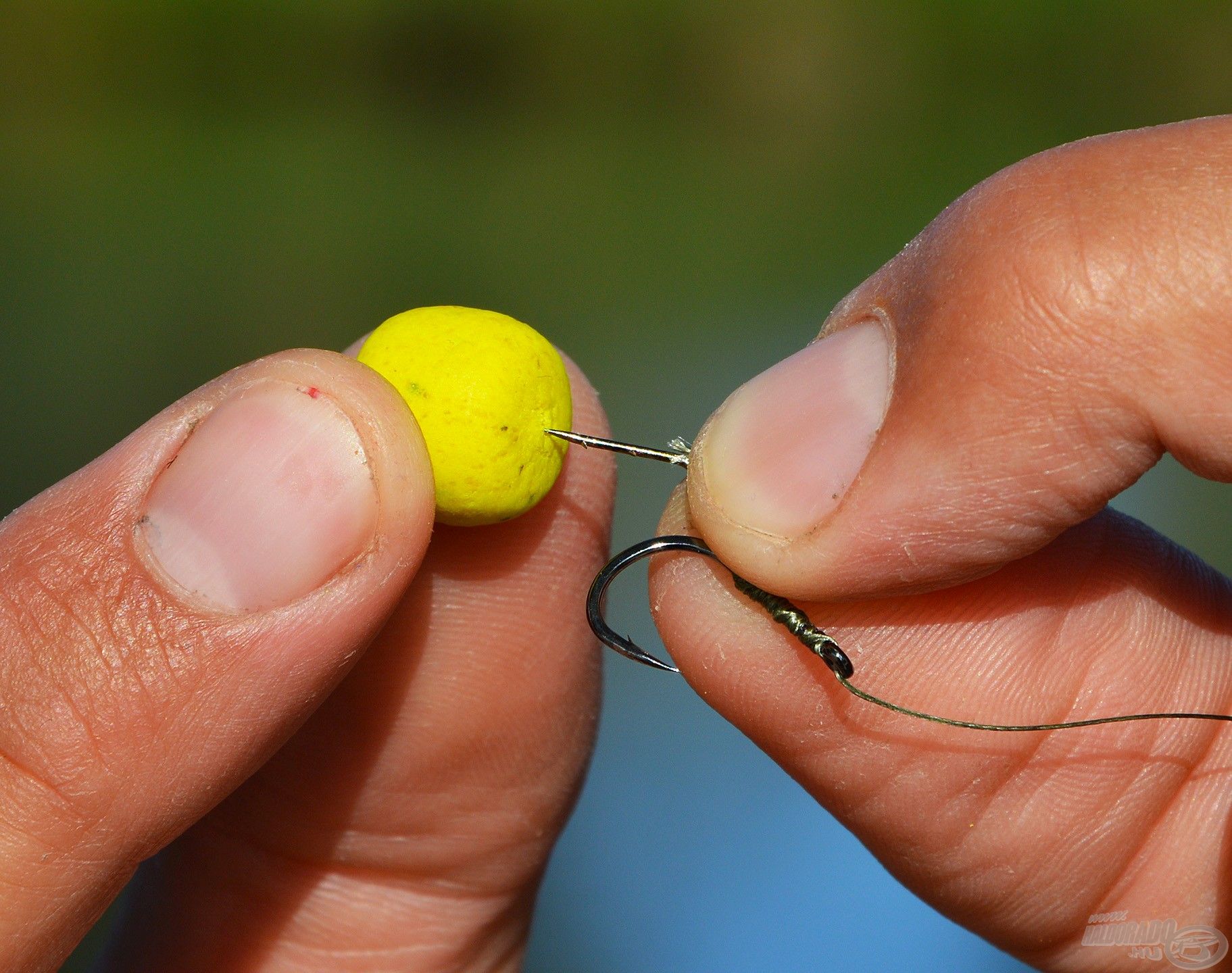 10 mm-es csalitüskével és 0,14 mm-es BraXX Pro fonott előkével érdemes a horogelőkét elkészíteni