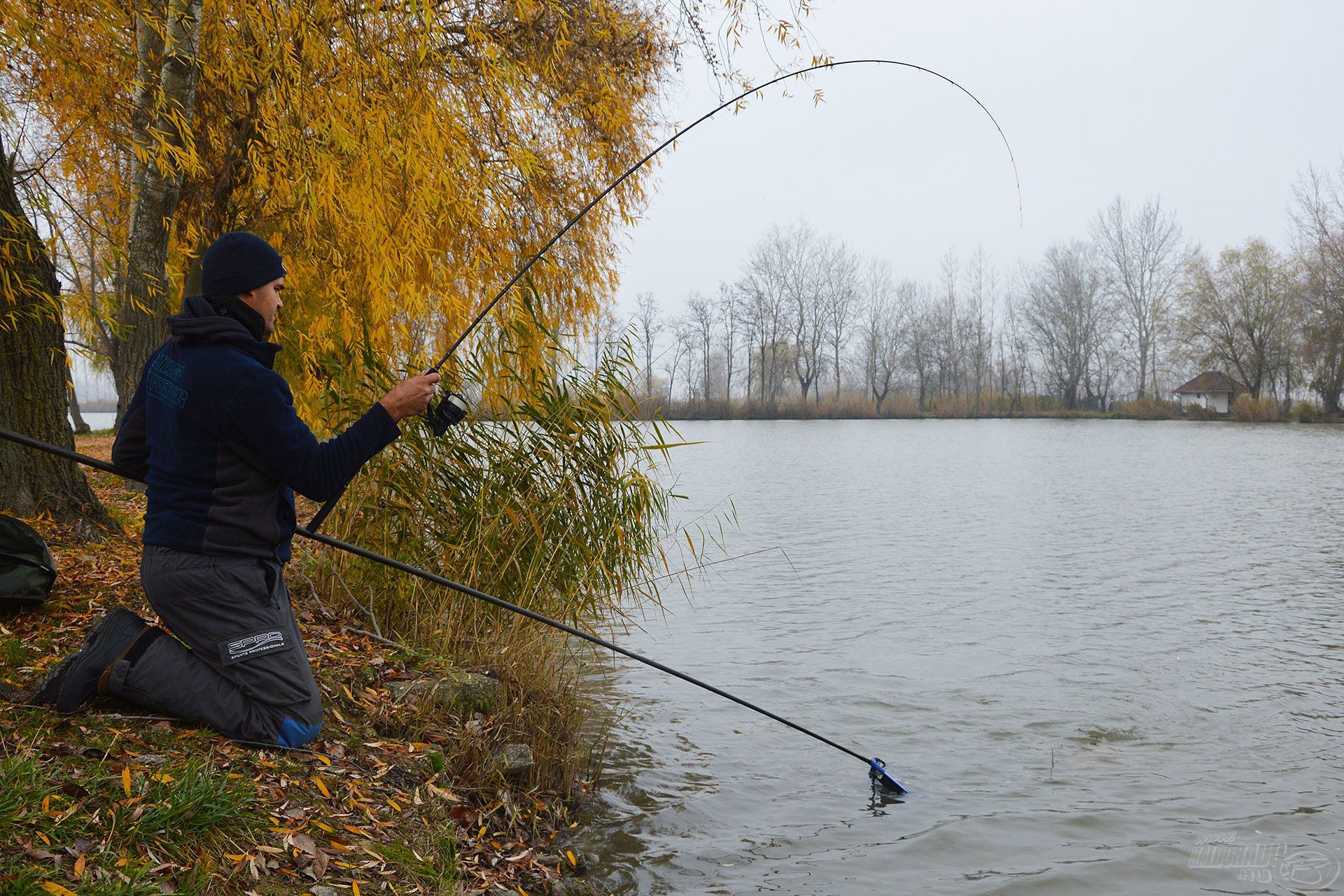 A Royal Method Carp botok a By Döme TF széria csúcsát képezik