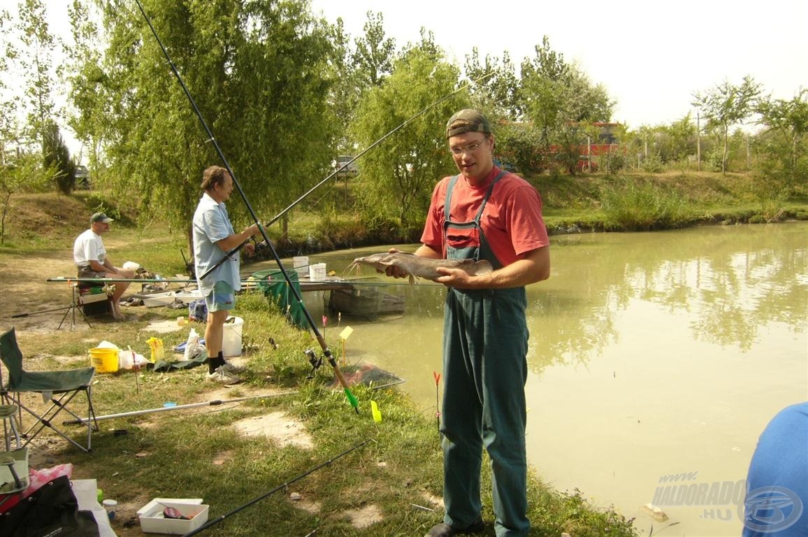 Afrikai harcsa egy amatőr horgászversenyről. Jól látható, hogy milyen közel ültünk egymáshoz. Hamar rájöttem, hogy nem ez a fajta horgászat vonz