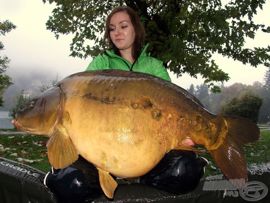 Mišel Zadravec Carp Baits 2010 3. rész - Folyékony adalékok, aromák, és dipek