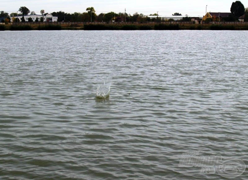 A gombócok valamivel az úszó előtt csapódnak a vízbe