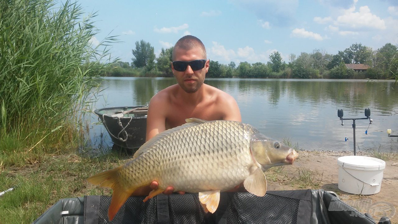 A délelőtti órák ajándéka