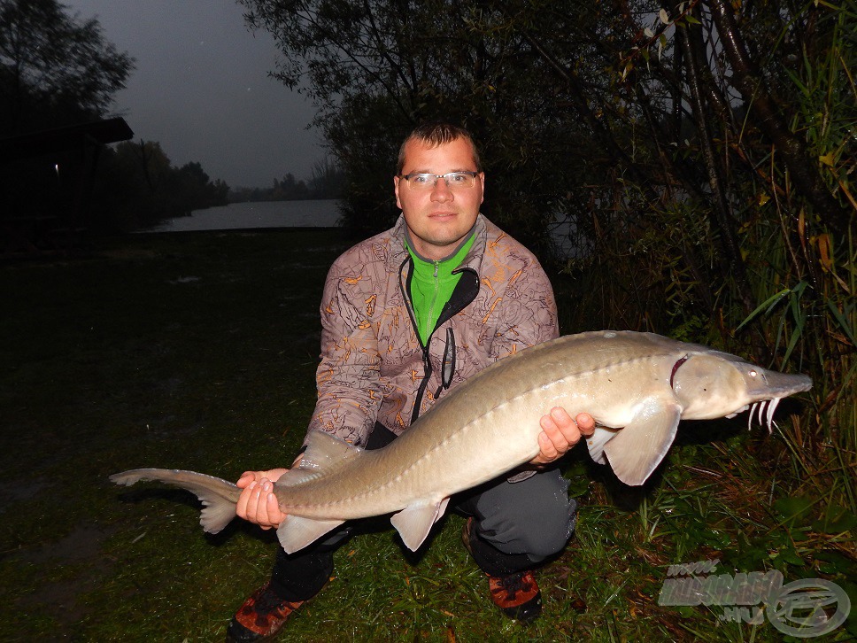 Egy gyönyörű, 8,70 kg-os tokkal is megajándékozott a tó