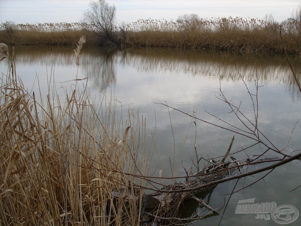 Először láthattam aznap a tavat kora tavaszi, megújulásra váró „köntösében”