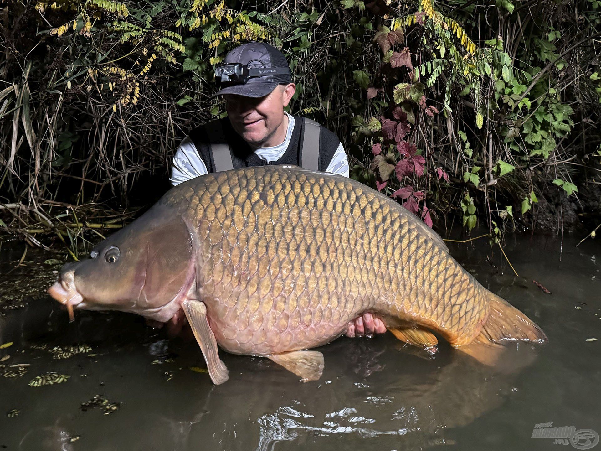 Túránk legnagyobb hala: 22,59 kg