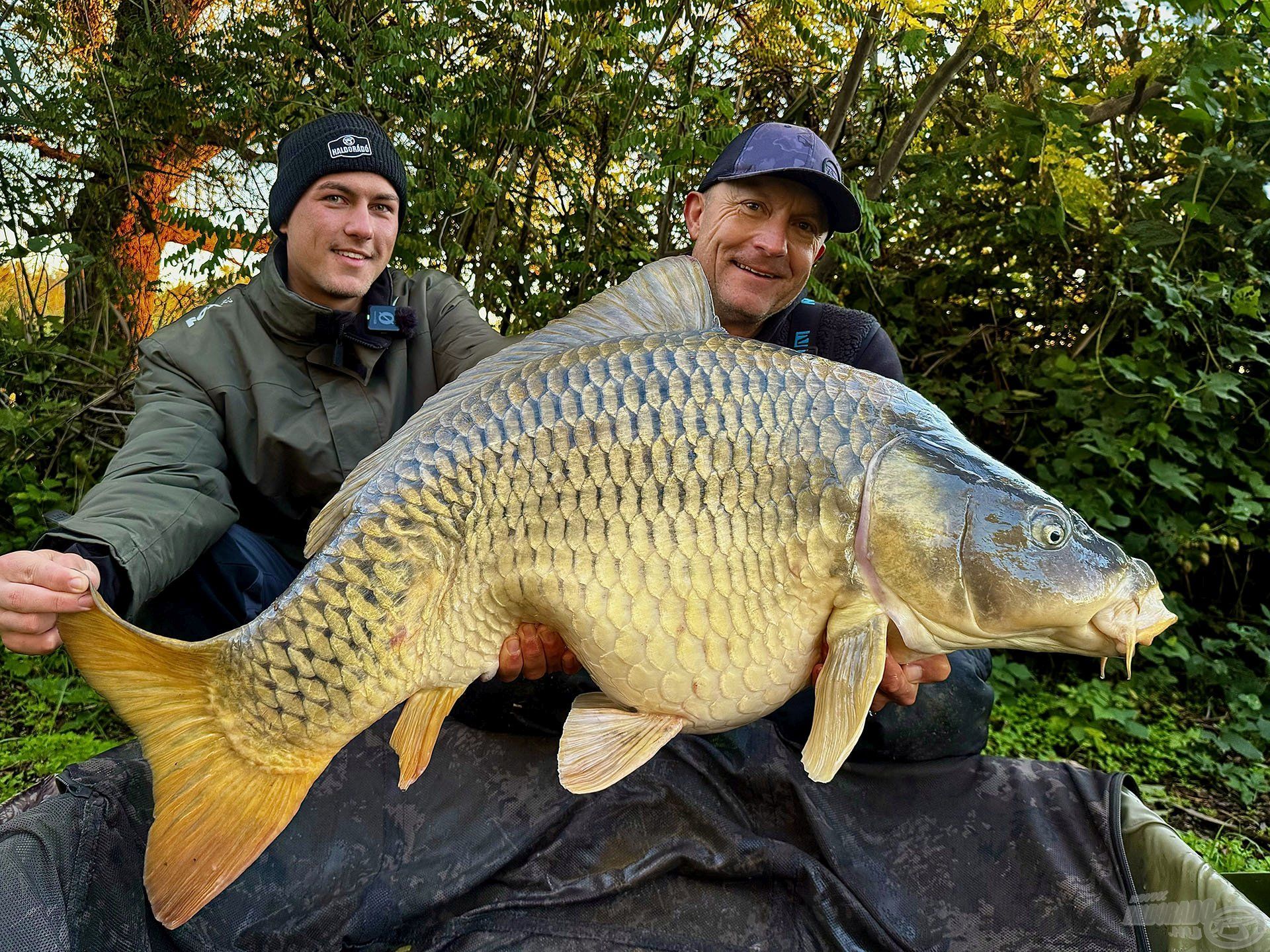 21,62 kg-os, egyedi azonosító jegyeket viselő tőponty