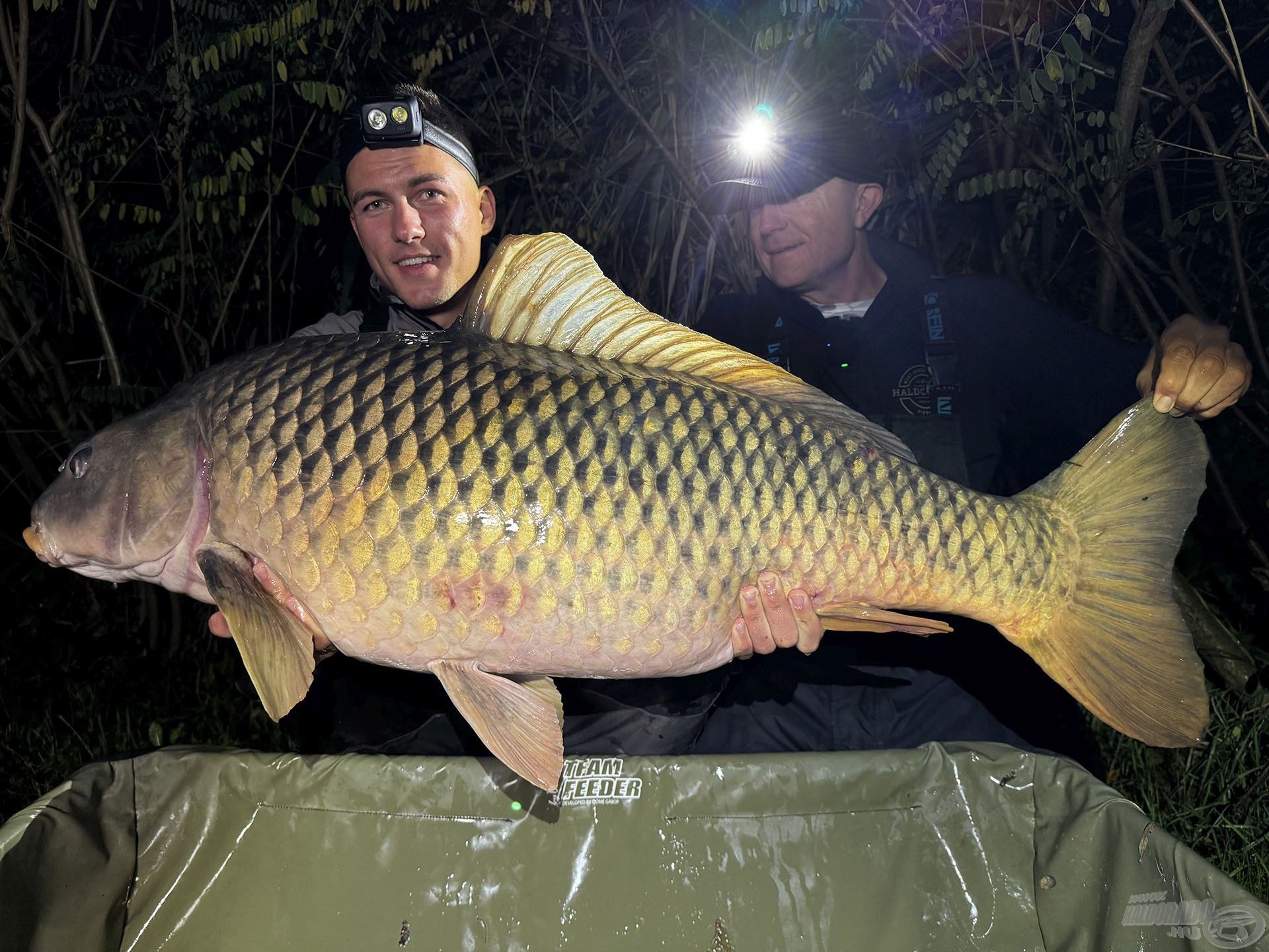 A kivétel erősíti a szabályt! Nagyon ritka és értékes fogás az éjszaka leple alatt! Tiszai nyurgaponty, 20,53 kg!!!