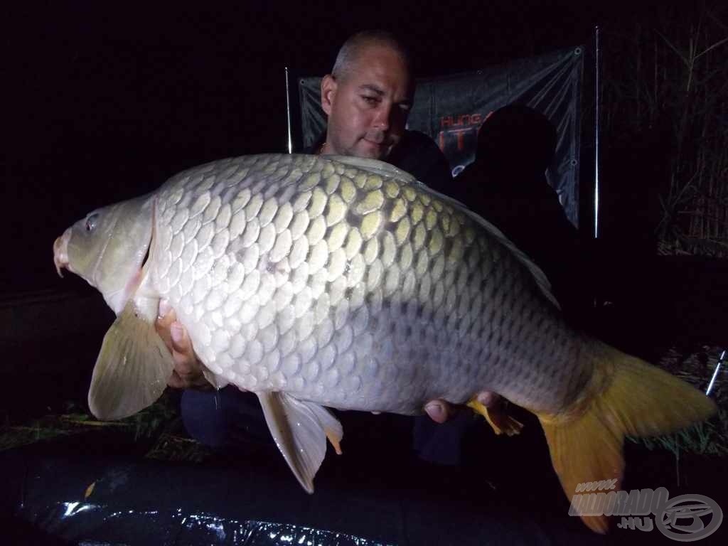 A kétszer megfogott 10,50 kg-os Robin Redre