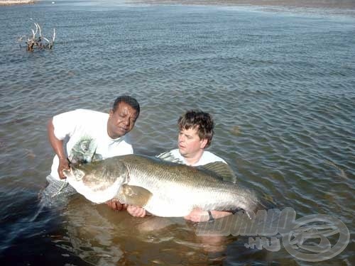 A túra legnagyobb, 60 kg-os Nílusi sügerét nagy örömömre nekem sikerült kifognom a tározóból. Nem semmi küzdelem volt, a hatalmas hal többször is szinte teljes testével kiugrott a vízből a fárasztás közben.