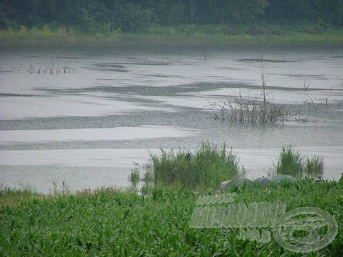 Óriási locsolókanna rózsája öntötte az égből a vizet