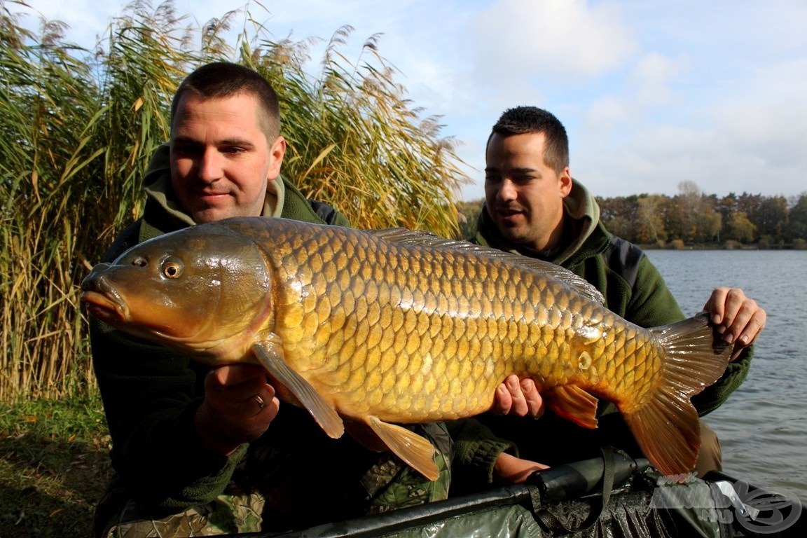 Ezeket az orsókat a Haldorádó Carp Team tagjai is nagy megelégedéssel használják, nyugodt szívvel ajánljuk neked is!