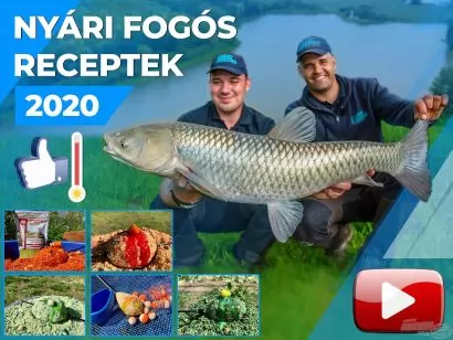 Nyári fogós receptek felmelegedett vizekre 2020