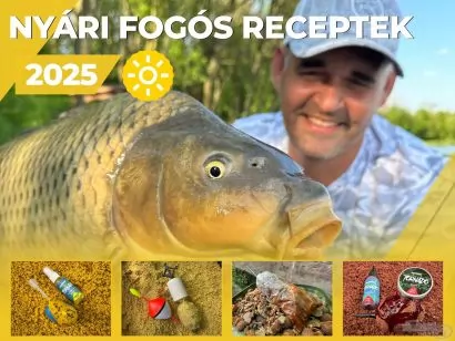 Nyári Fogós receptek felmelegedett vizekre – 2025