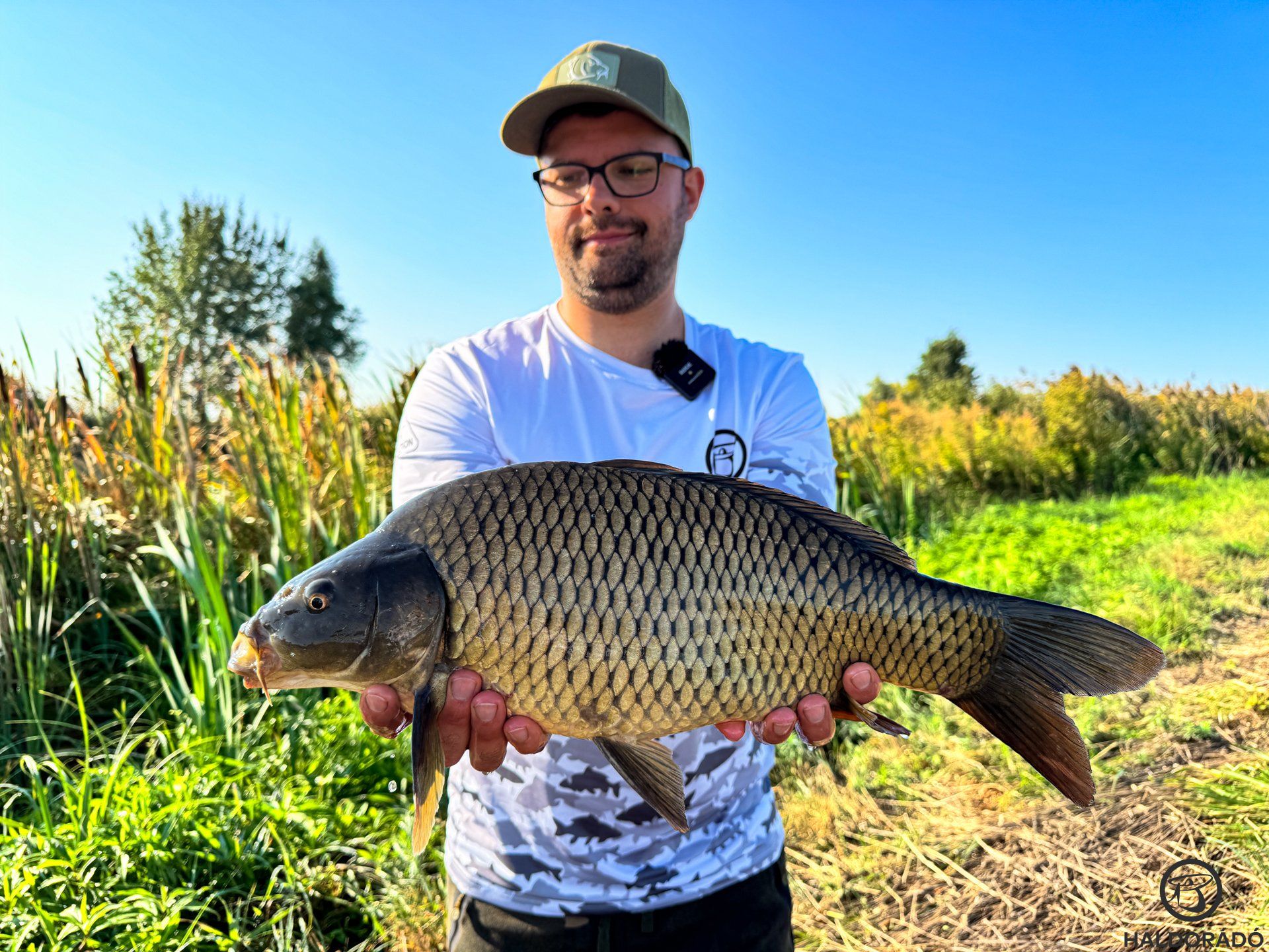 A reggel ismét megajándékozott egy kapással, melyet egy sötét színű, kis tőponty okozott, vele zártam a szezont