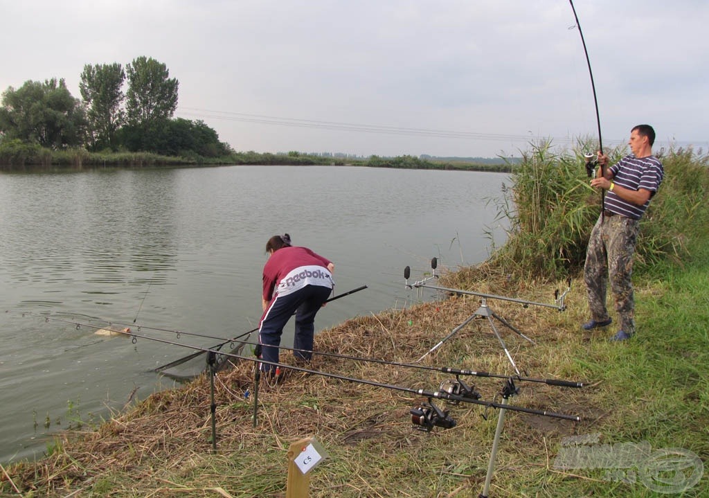 Munkában a Schrack Carp Team. Jani és Erika példásan állta a sarat a férficsapatok mellett