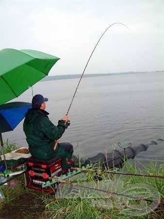 A szakadó eső sem gátolta Tibort, folyamatosan „görbe” bottal horgászott