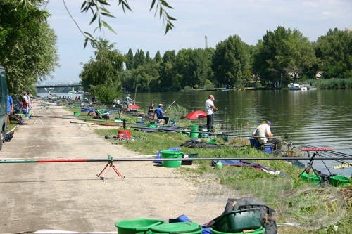 A versenypálya, ahol Ferike felnőtt