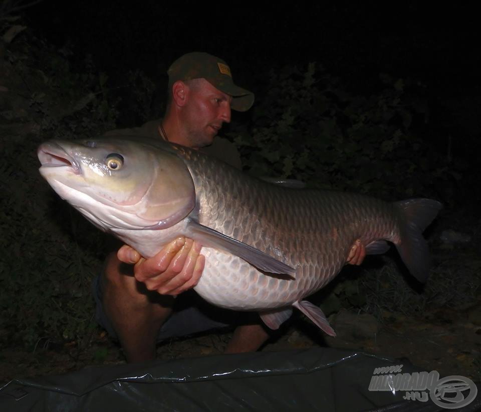 Hatalmas 20 kg feletti amur Laci kezében