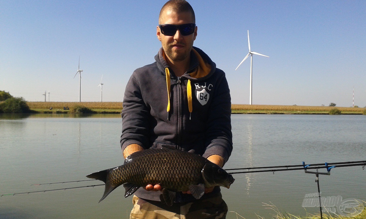 Black Carp