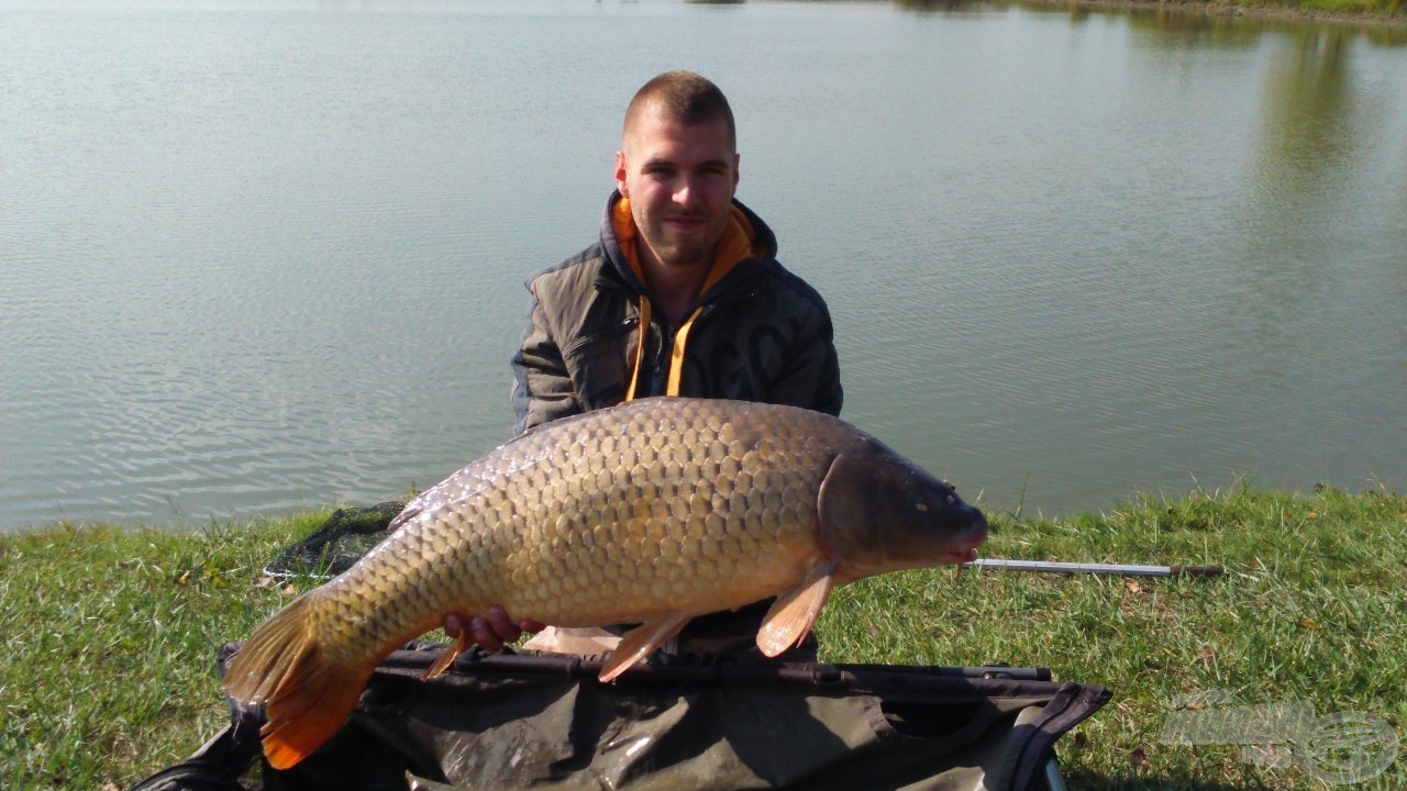 Ez a 13,78 kg-os óriás az egy szem ananászos SpéciCornt választotta