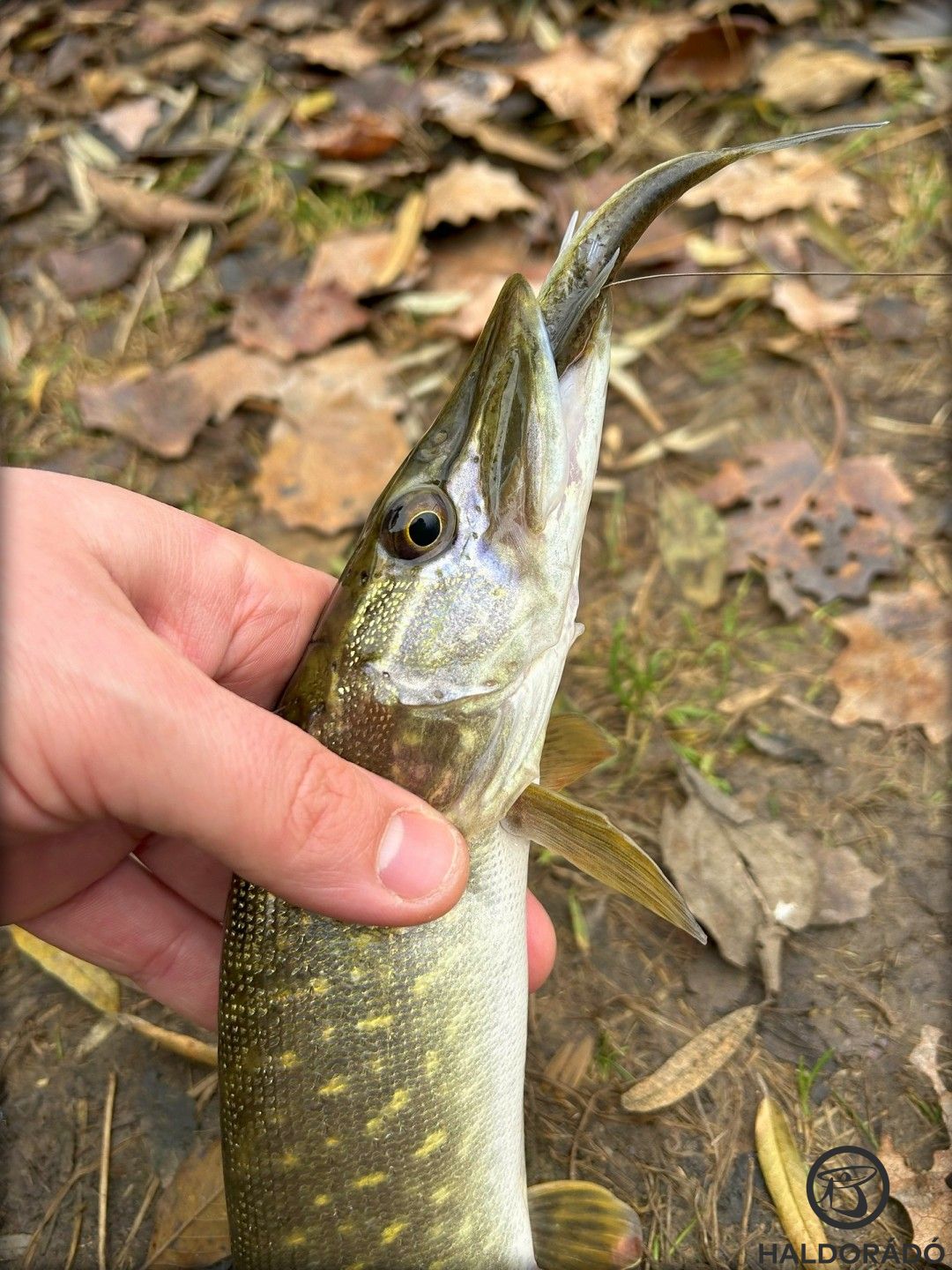 „Kaszakövekből” sincs hiány