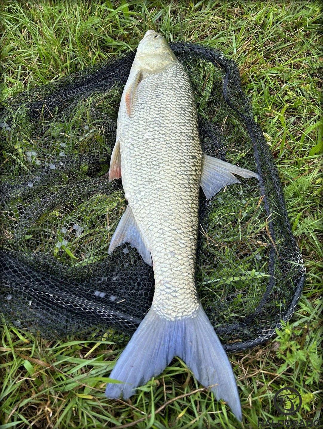 Élmény volt fárasztani a kellően érzékeny felszereléssel