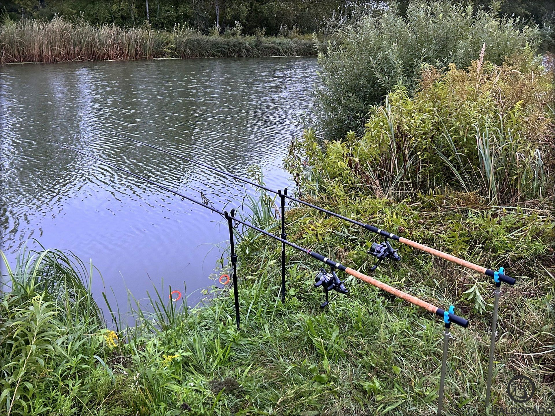 Karikák nyugalmi állapotban, míg nem kezdenek darálni a törpék