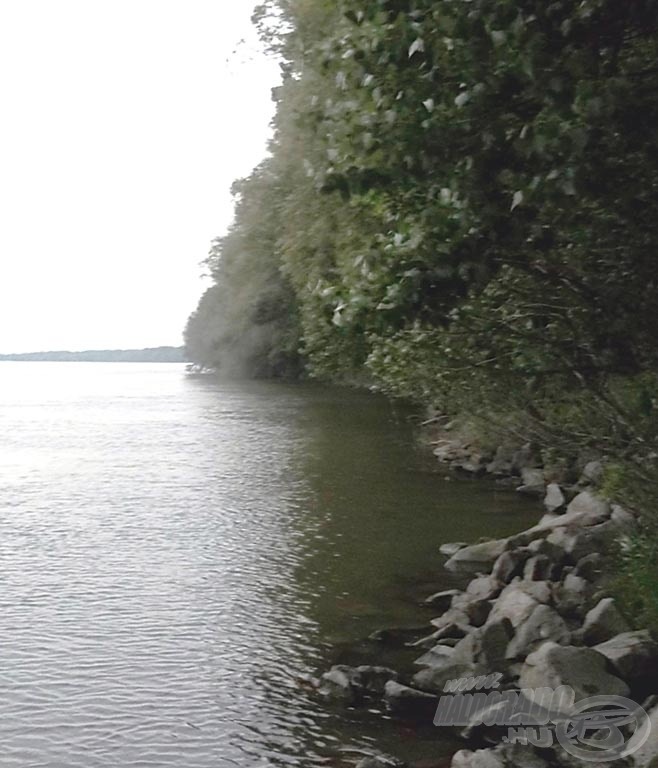 A Duna már csütörtökön a fákig ért
