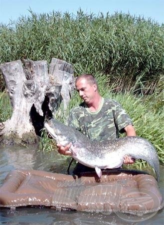 Bojlis horgászatok során nem egy harcsa is horogra akadhat, megjelenésük már nem is számít akkora meglepetésnek