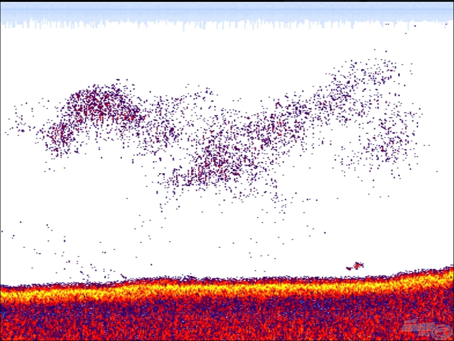 Koncepcióváltás: néha megy a radar, csak úgy, itt csorgós balinozás közben, és több száz méteres szakaszon csak itt mutatott apróhalakat…