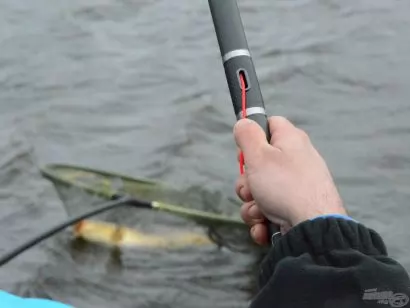 Partszéli pontyhorgászat egyszerűen 2. rész – Akcióban a Margin Power Carp