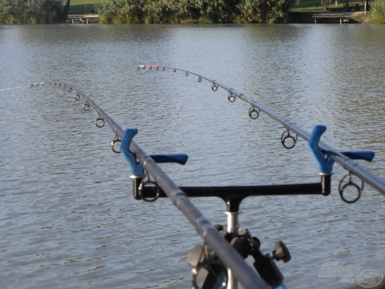 Kíváncsian vártam, vajon lesz-e újabb jelentkező az általam ma először kipróbált Carp Bonbonra