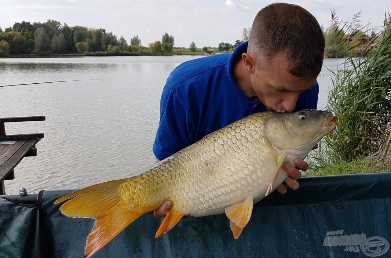 … és rövid idő alatt beléjük szerettem