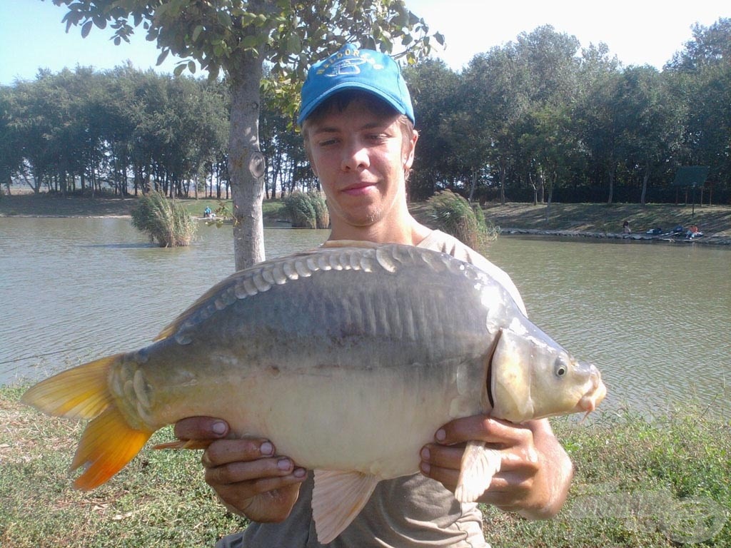 A nap hala lett ez a szép „golyó” tükörponty a maga 3,72 kg-os súlyával