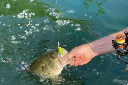 Pergetések a Bokor Pro Spin újdonságokkal