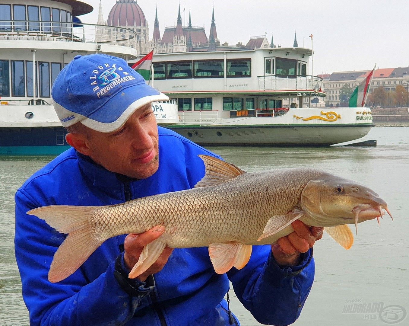 A Duna egyik legcsodálatosabb halai a márnák…