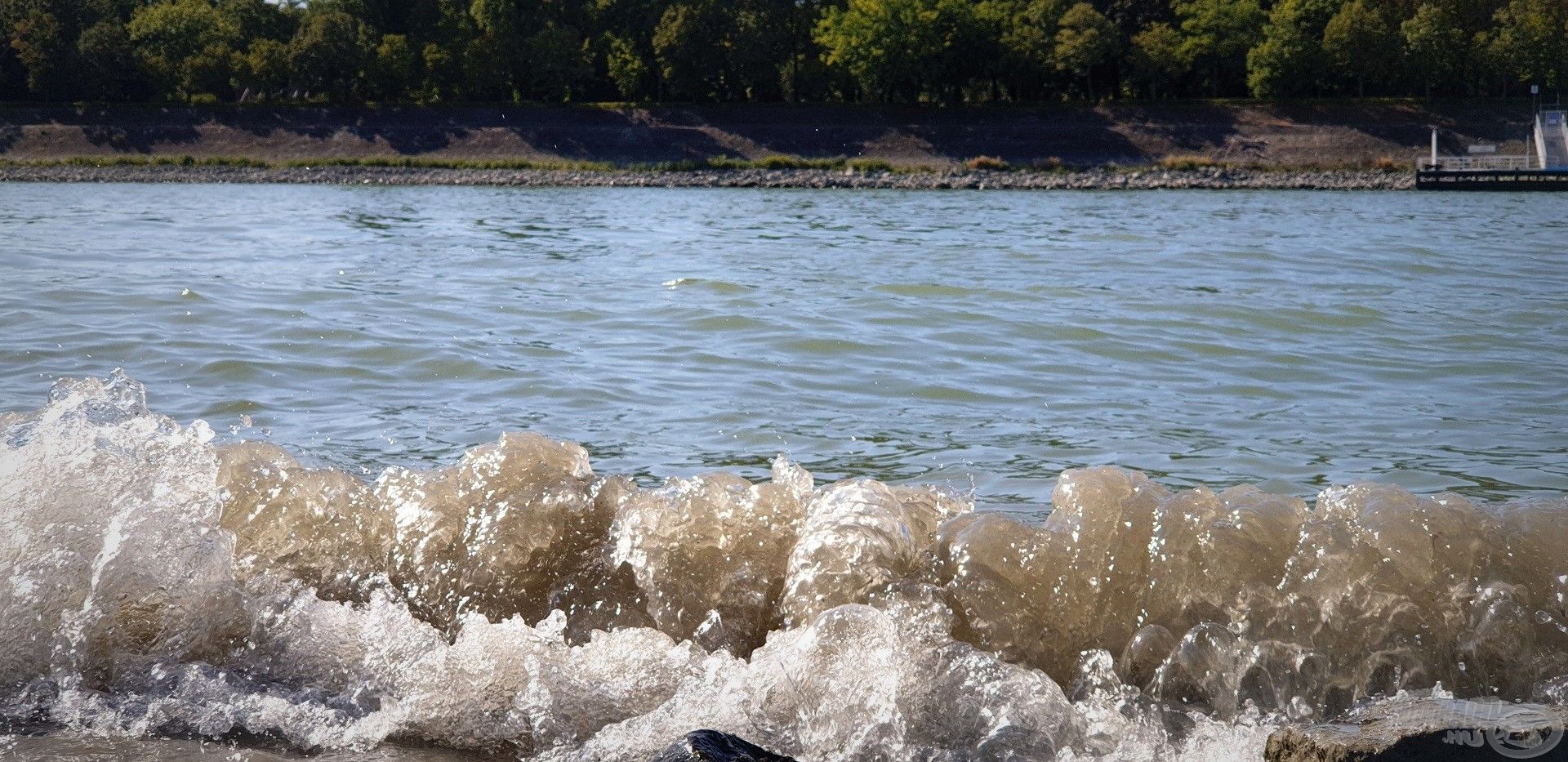 … ellentétben a folyón nagy sebességgel közlekedő motorcsónakokkal, szállodahajókkal, melyek hatalmas hullámokat korbácsolnak a Duna laposabb partszakaszain