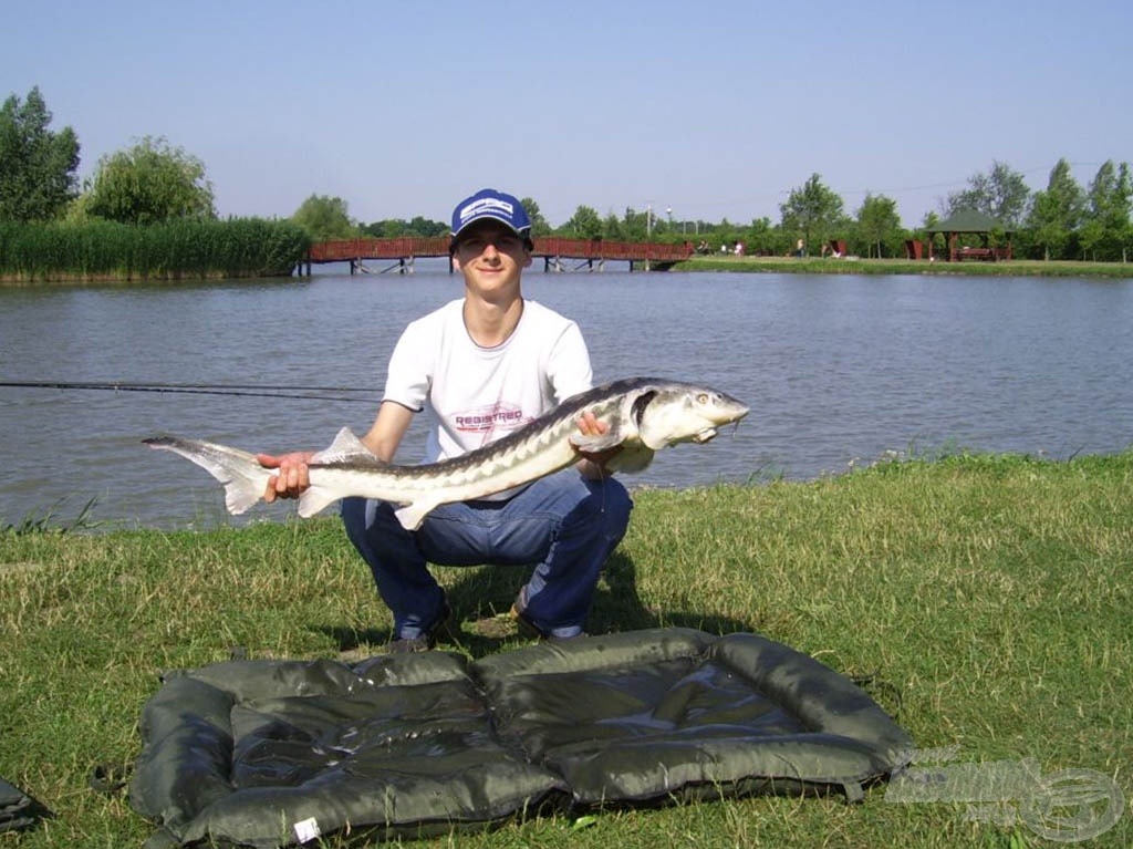 Életem második tokhala, 4,5 kg