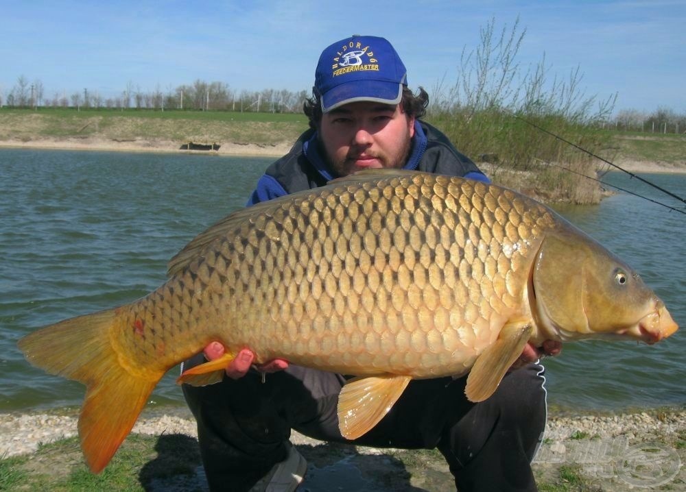 Az első hal egy 10 kg feletti ponty volt