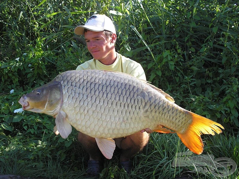 Ez a vehemens kapással érkező gyönyörű (13,5 kg-os) töves a 20-as Terrible Trick + a 16-os Carp Academy Monster Crab pop-up „hóemberes” kombinációját díjazta