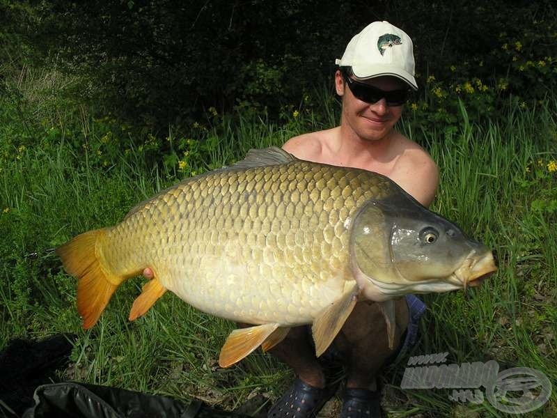 Az idei eddigi legnagyobb pontyom (15,8 kg), amelyet feederbottal sikerült kifognom