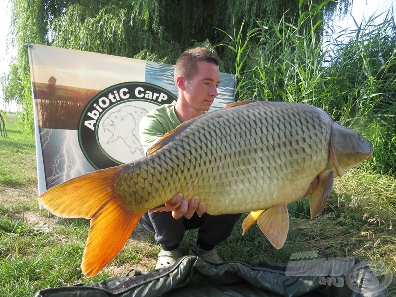 Gabesz egyik szép pikkelyese, mely 12,6 kg-ot nyomott